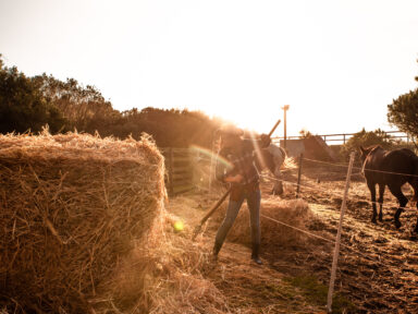 La vie au ranch