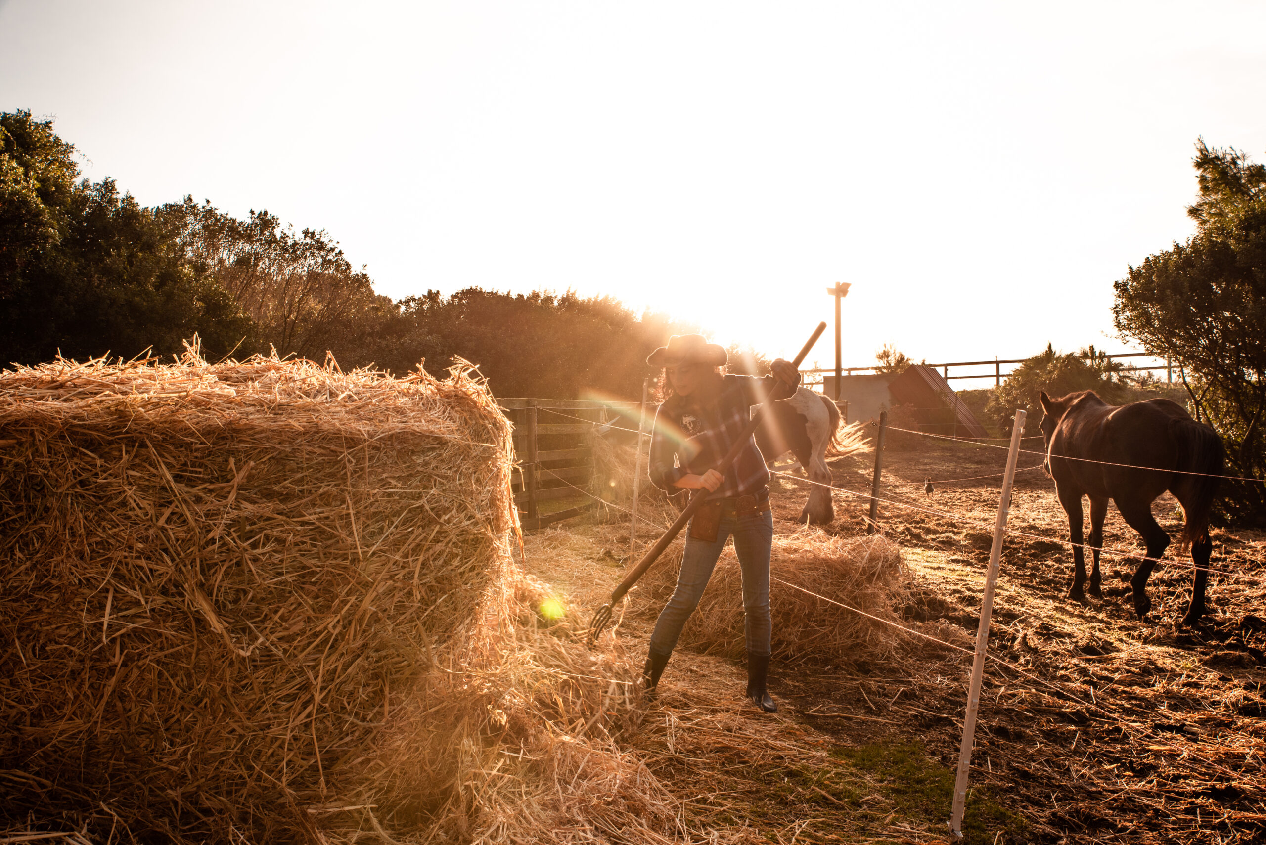 La vie au ranch