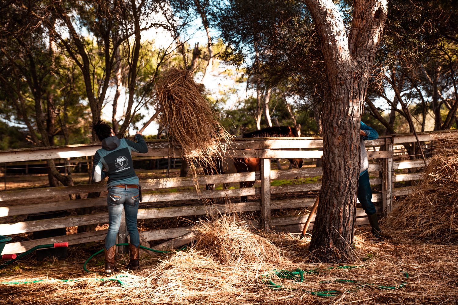La vie au ranch – Image 9