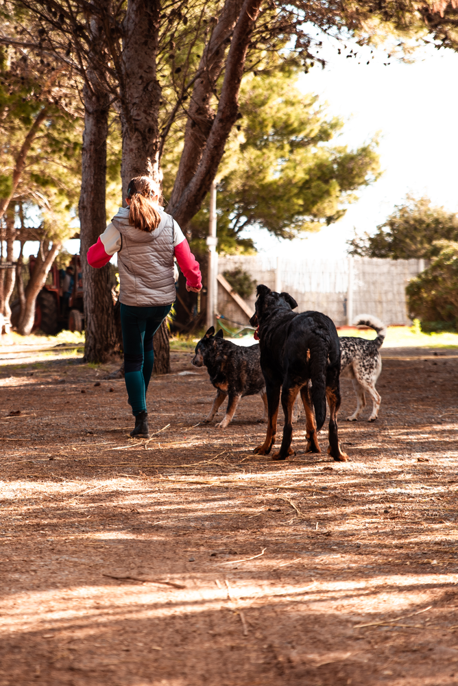 La vie au ranch – Image 5