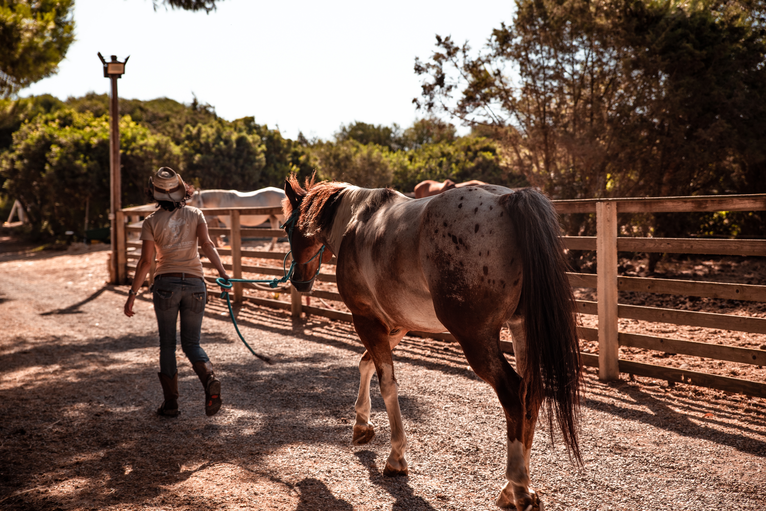 La vie au ranch – Image 14