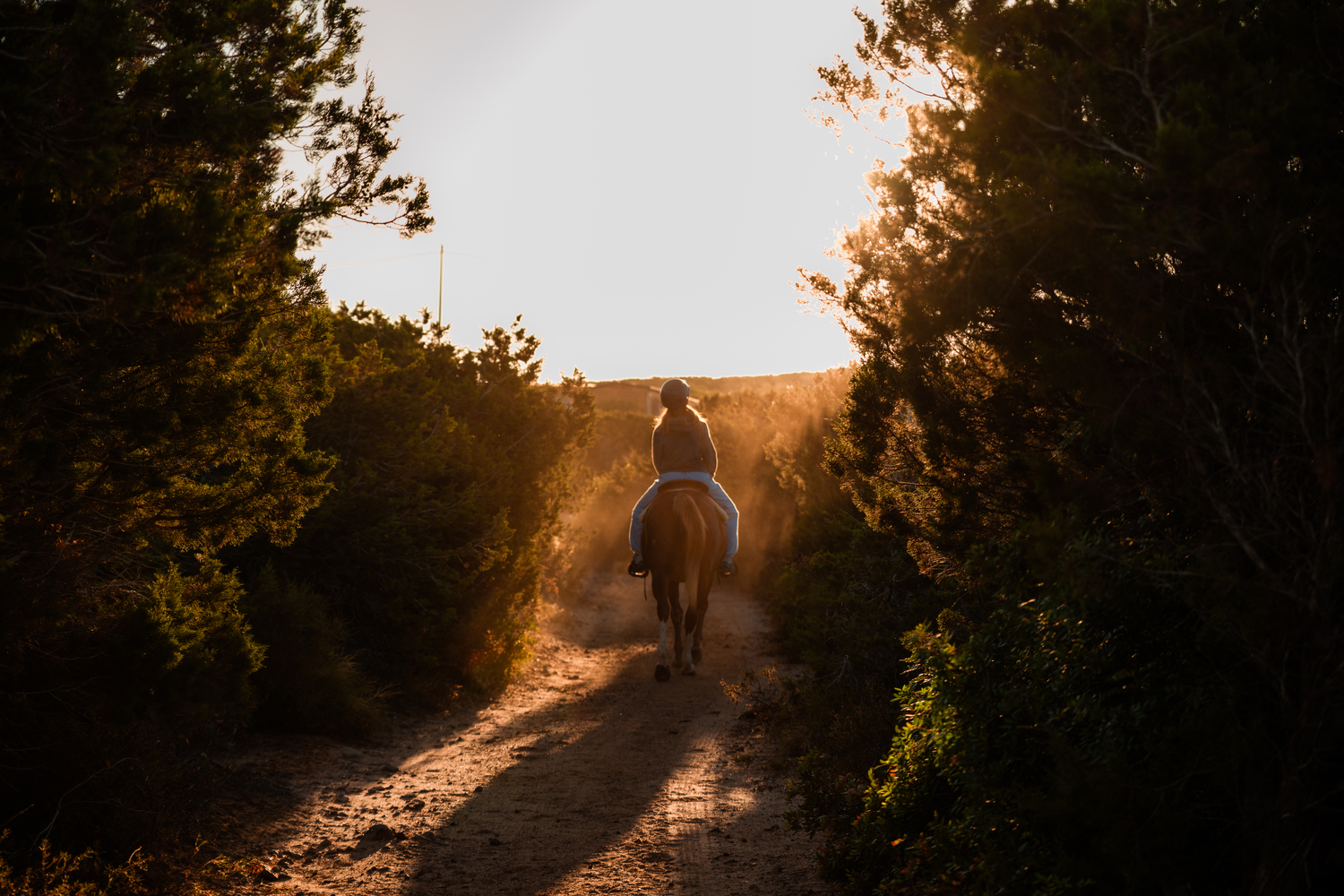 Balade à cheval au lever du soleil (Exclusive x2 personnes) – Image 5
