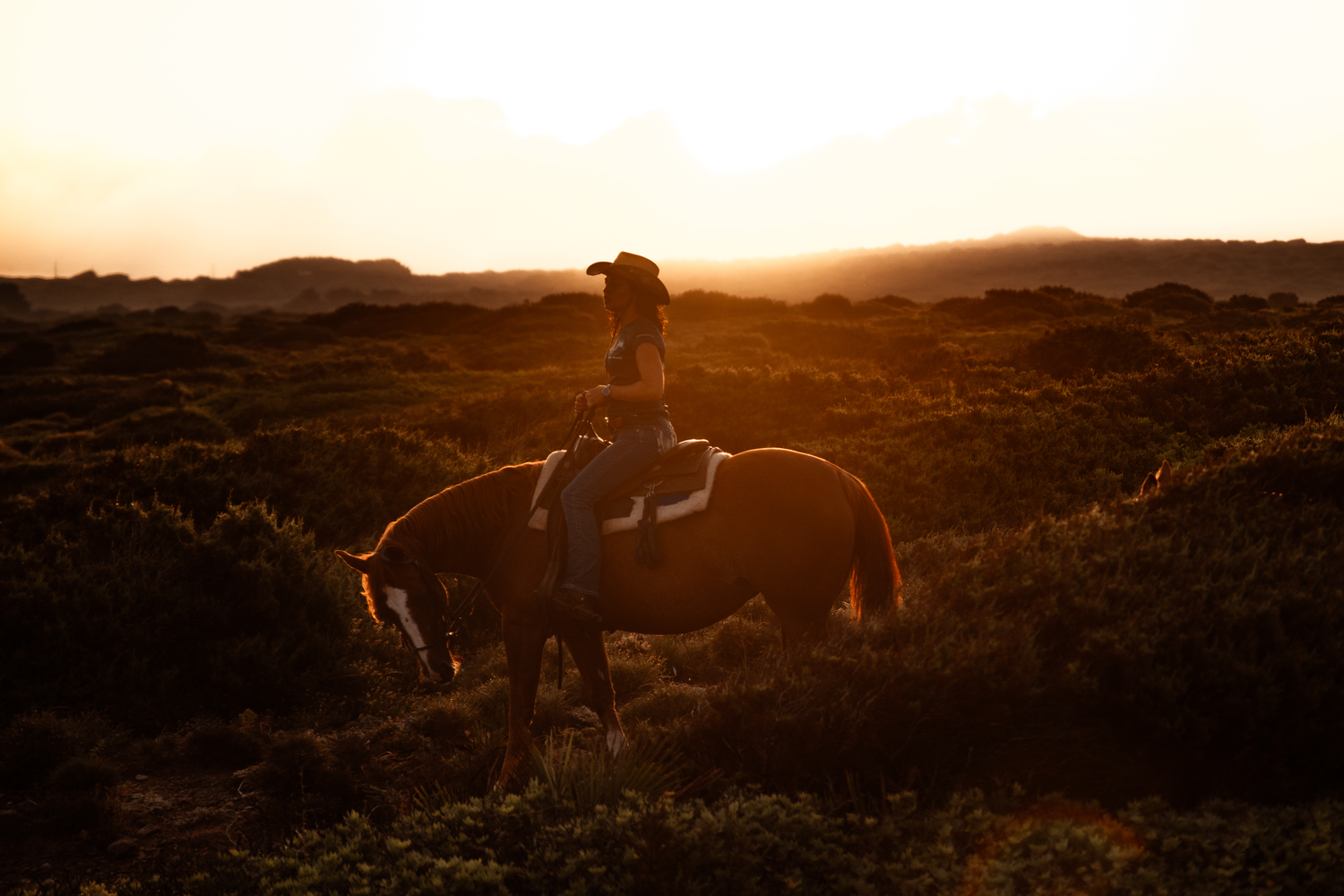 Balade à cheval au lever du soleil (Exclusive x2 personnes) – Image 6