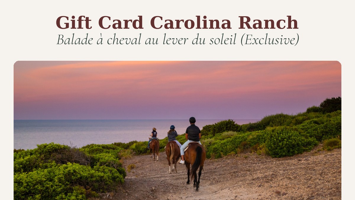 Balade à cheval au lever du soleil (Exclusive)