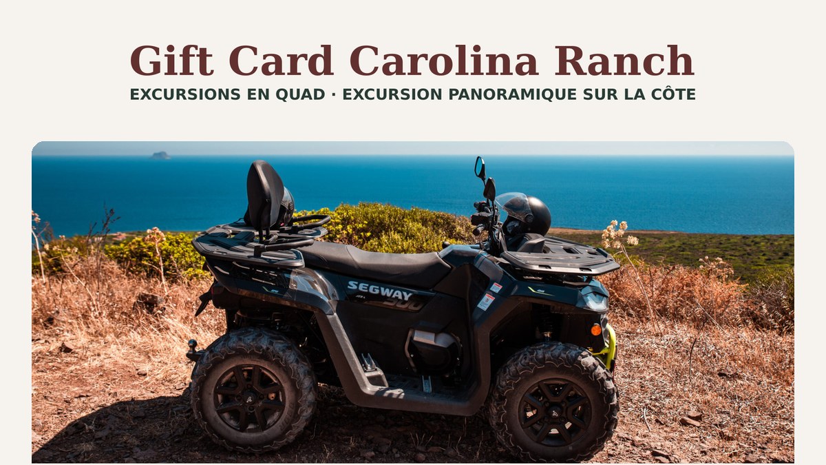 Excursion panoramique en quad