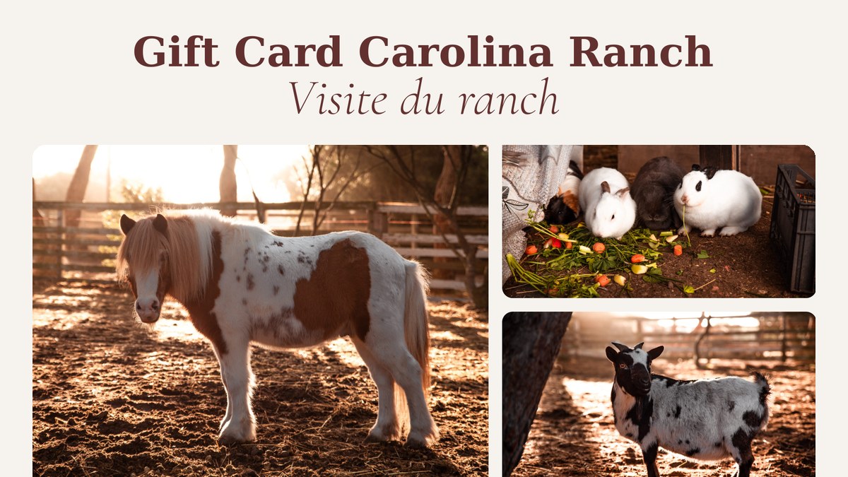 Visite du ranch